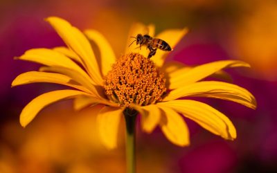 El arte de relacionarnos