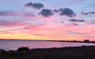 Fin y comienzos de ciclos