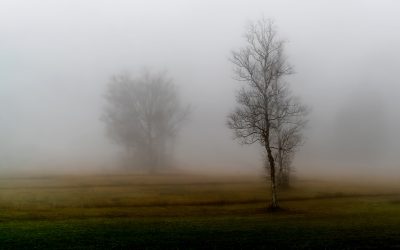 Soltar las guerras internas